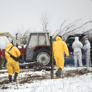 UK bans import of German cattle, pigs and sheep to prevent foot and mouth disease spreading