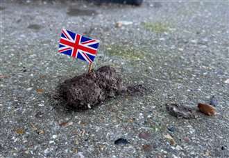 Mystery over flags left in dog poo on beach