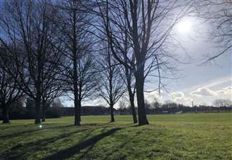 Teen tried to rape woman in park