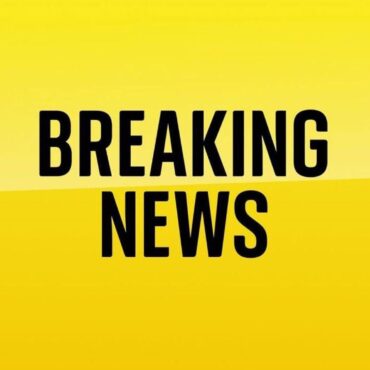 Man dies from injuries weeks after XL bully attack