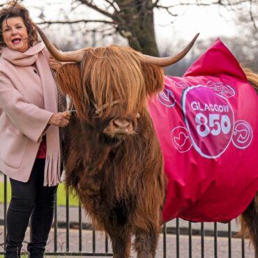 Comedian grazes cows on Glasgow Green to mark receiving city’s highest honour