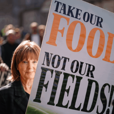 ‘Shattering blow’ to farmers over pause to environmental payment scheme