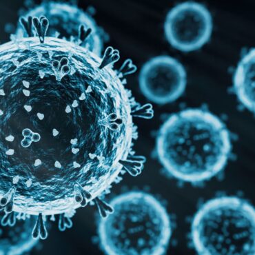 Bird flu has potential to become pandemic, says UK expert