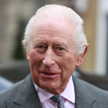 King returns to official duties after hospital stay