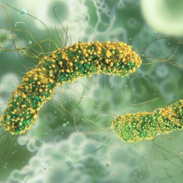 One person dies from listeria infection potentially linked to desserts supplied to NHS