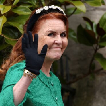 Duchess of York offered to help secure PPE early in COVID pandemic, inquiry hears