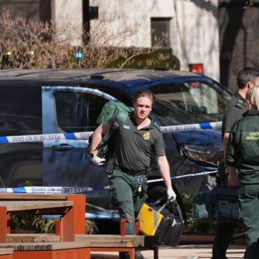 Woman in her 20s dies after van hits three pedestrians in central London