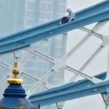 Tower Bridge shut down after person scales railings