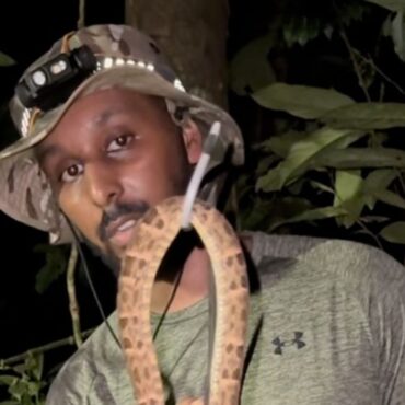 From drill rapper to conservation star: ‘I never had purpose – with wildlife, I found myself again’