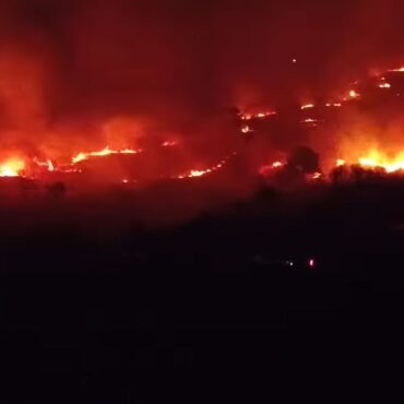 Fire crews battle blazes in Dorset and Scotland as ‘extreme’ wildfire risk remains