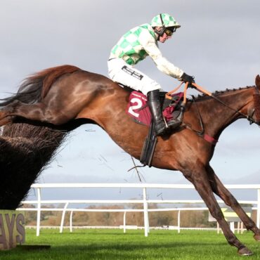 Race horse Celebre d’Allen dies after collapsing during Grand National