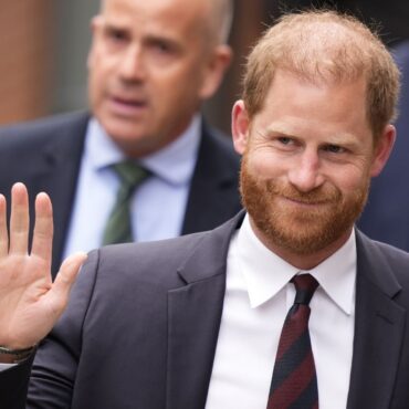 Harry’s ‘life at stake’ in security case, Court of Appeal hears