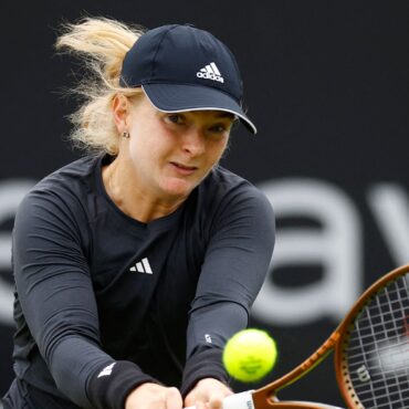 British tennis player collapses during match