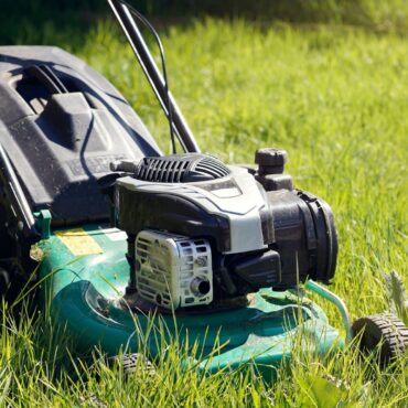 Britons urged to stop mowing lawns