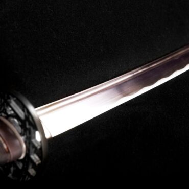 Boy who tried to stab girl to death with sword on camping trip is detained for 11 years