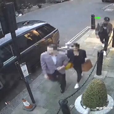 Luxury watch thief mistakenly targets pair of undercover officers
