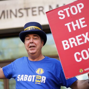 ‘Stop Brexit Man’ cleared of flouting police ban with anti-Brexit edit of Muppet Show