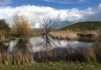 Warning of ‘heavy smoke’ as crews tackle wildfire at nature reserve