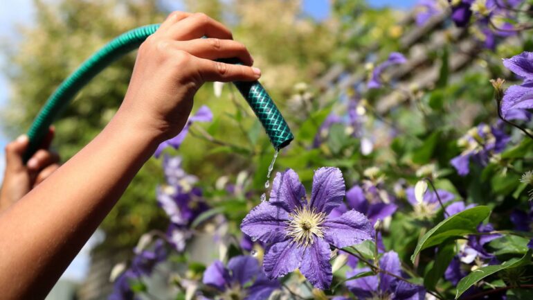 Scots urged to take shorter showers and avoid using hoses