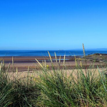 Boy dies after ‘disturbance’ at beach