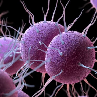‘World-first’ gonorrhoea vaccine programme to be rolled out