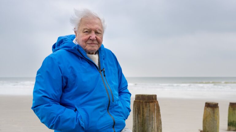 David Attenborough’s Ocean film is ‘biggest message he’s ever told’