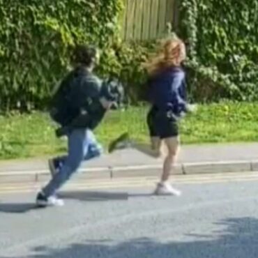 Police hunt for teenagers seen ‘carrying dismembered kittens in duffel bag’