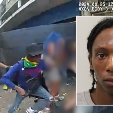 Man who fatally stabbed mother at Notting Hill Carnival jailed for life