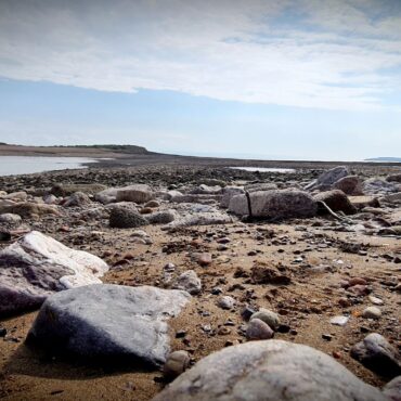 Foragers rescued from island after eating suspected poisonous plant