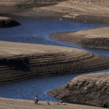 Water warnings issued as UK experiences ‘unusually dry’ spring