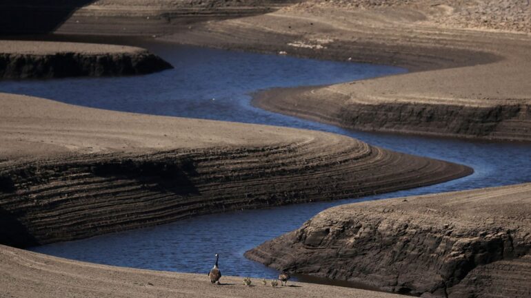 Water warnings issued as UK experiences ‘unusually dry’ spring