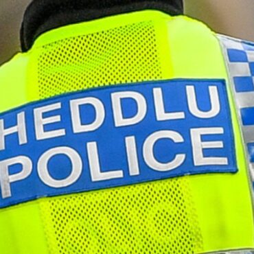 Two arrests after video appears to show assault on pupil