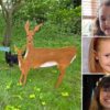 Mystery memorial for victims of Southport stabbings appears 300 miles away from tragedy