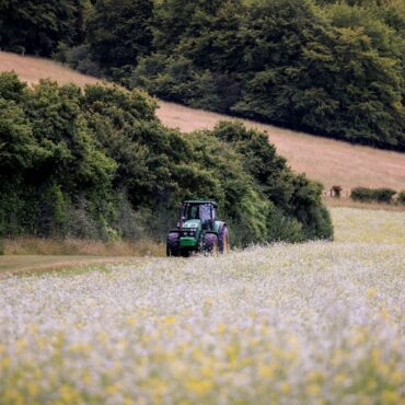 Cutting agricultural budget could be ‘catastrophic’ for nature, farmers and charities warn