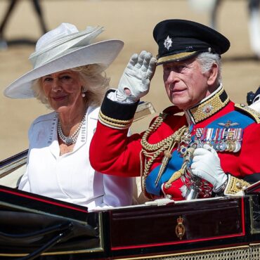 See the best pictures from Trooping the Colour – as King pays tribute to plane crash victims