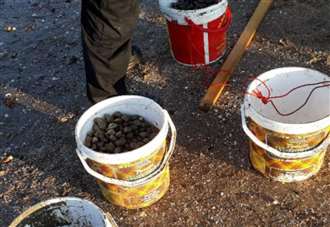 Crackdown on illegal cockle-picking