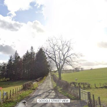 Man and dog die after van crash