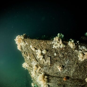 Divers discover Royal Navy warship HMS Nottingham 110 years after it was lost in action