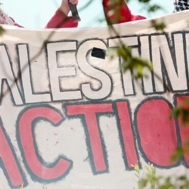 Palestine Action’s bid for judicial review granted after MPs banned group
