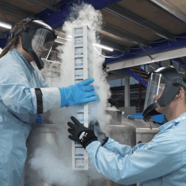 World’s biggest human imaging project reaches new milestone