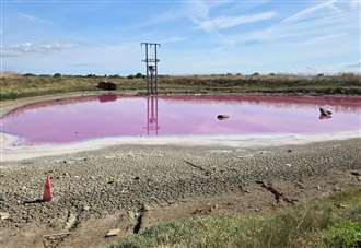 Mystery surrounds lake which has turned pink