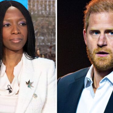 Prince Harry cleared of bullying claims by report into ‘damaging dispute’ at his charity