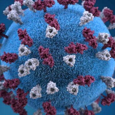 Why are child vaccination rates the lowest they have been in more than a decade?