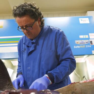A real-world CSI for sea life: The lab investigating deaths we’re all complicit in