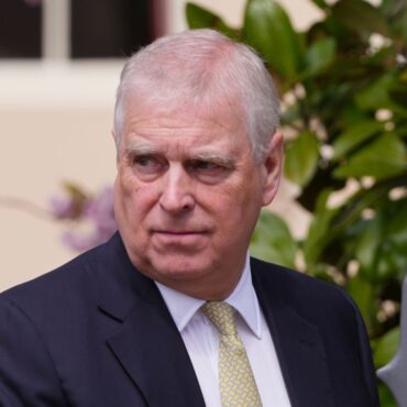 Prince Andrew has no public future – and lack of royal status ‘annoys him,’ author claims