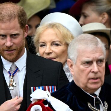 Prince Harry denies having ‘physical fight’ with Prince Andrew