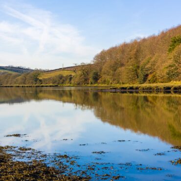 Girl, 11, dies at beauty spot after incident in water