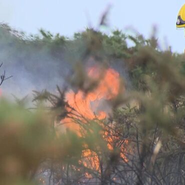 Record number of wildfires in England and Wales in first six months of the year