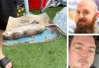 Giant ‘52cm-long’ rat found in garden