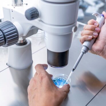 Eggs fertilised with material from human skin cells for first time